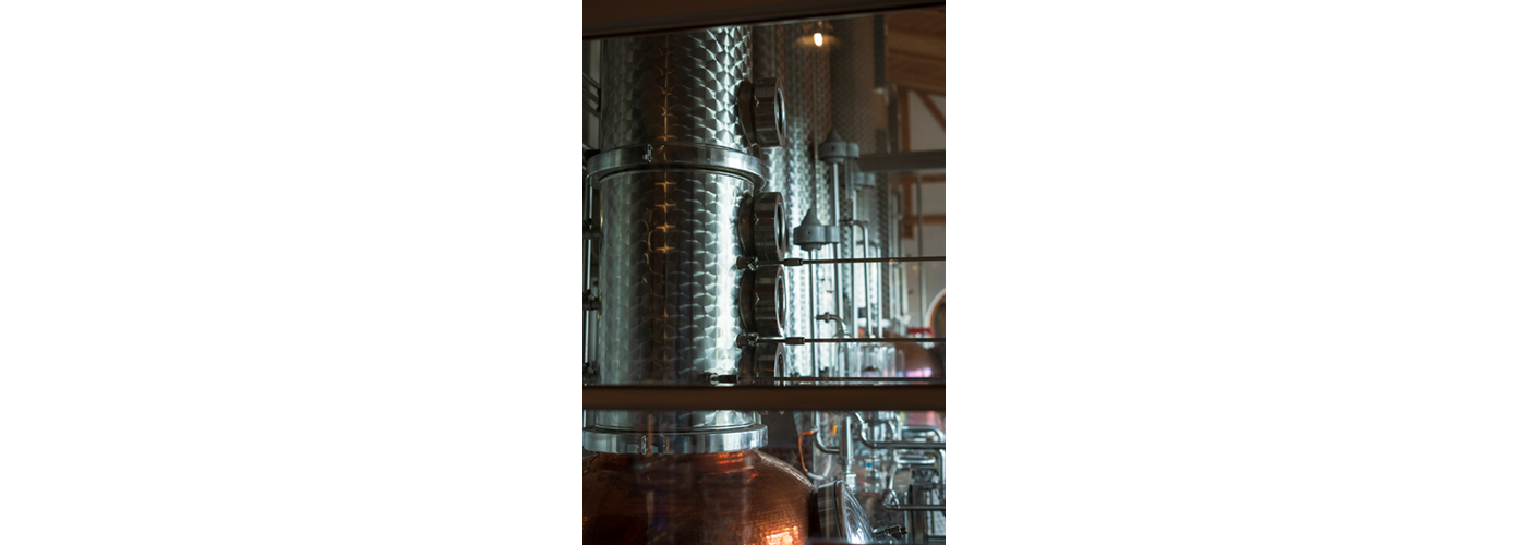 A trip to Lake Constance and a distillery